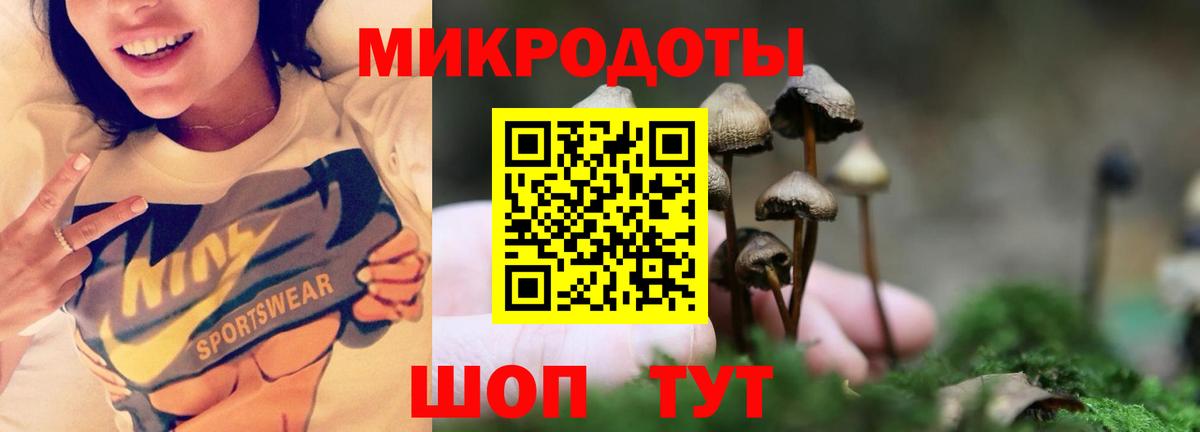 Псилоцибиновые грибы мицелий  Псилоцибиновые грибы прущие грибы  Волхов  Вход с VPN 